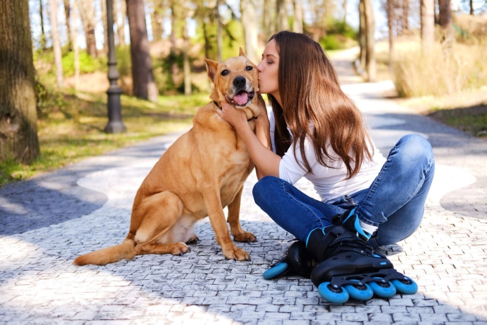 飼い主の不安障害と犬依存症の関係｜症状や改善方法を専門家が解説