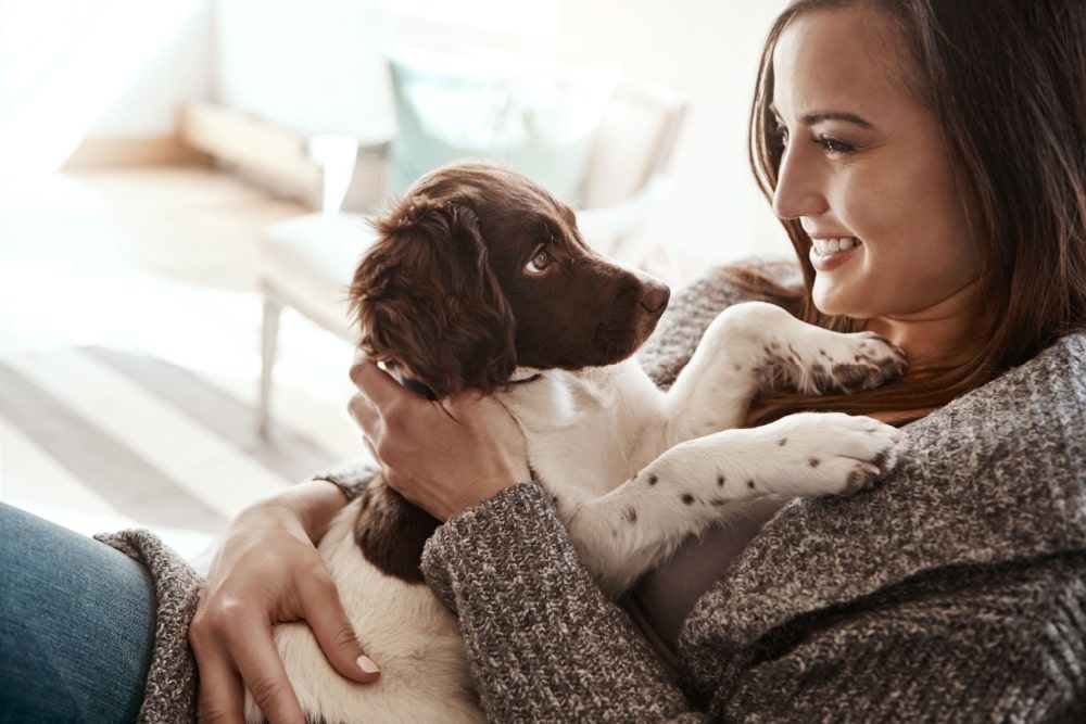 犬の社会化の重要性とは？適切な時期や効果的な方法も徹底解説！