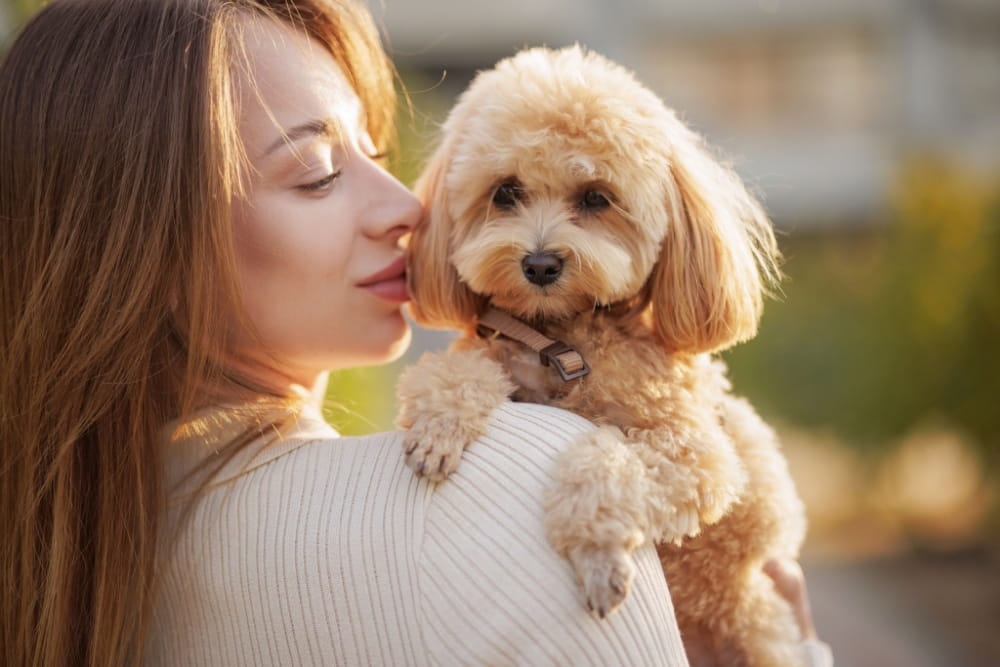 「犬依存症かも？セルフチェックでわかる！飼い主と犬の“共依存”を防ぐ方法」